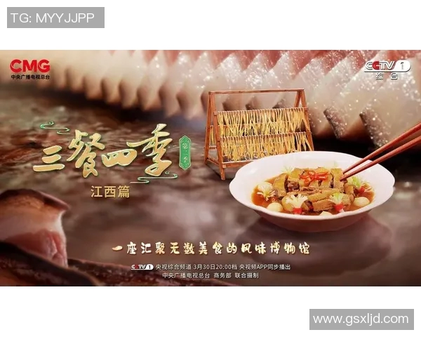 《探索中国地方小吃的魅力与特色，品味各地风味美食》