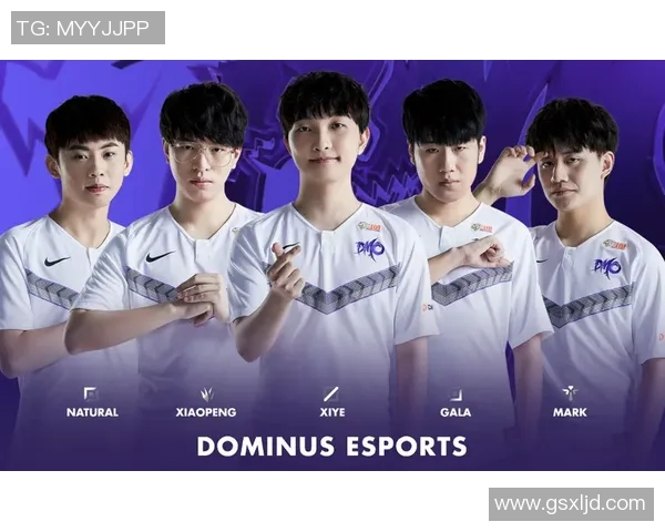 RNG战队在比赛中的数据分析与经验总结探讨