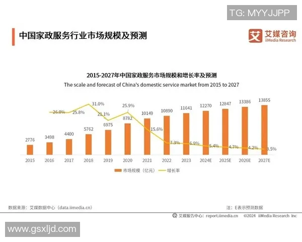 陈磊专访揭秘滑板行业成功秘诀与未来发展趋势分析