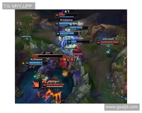 赛后复盘：WE与BLG对决中的战术分析与技术细节探讨