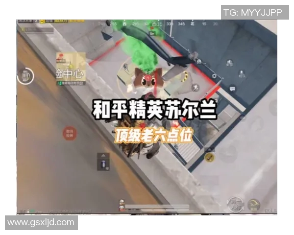 从零起步掌握和平精英全方位技术攻略与实战技巧分享