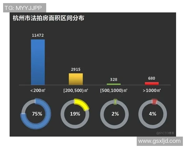 杭州网球队战术表现深度解析与数据分析报告